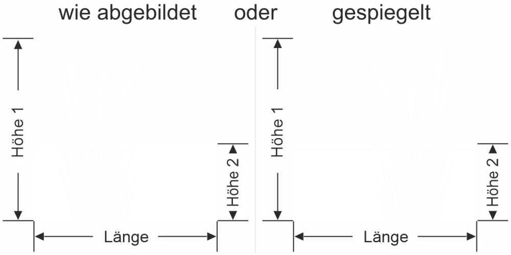 Milchglasfolie Schilfgras mit Kolben - Ansicht Ausrichtung mit Farbauswahl und Anleitung zur Größenberechnung - Vorschlag 1