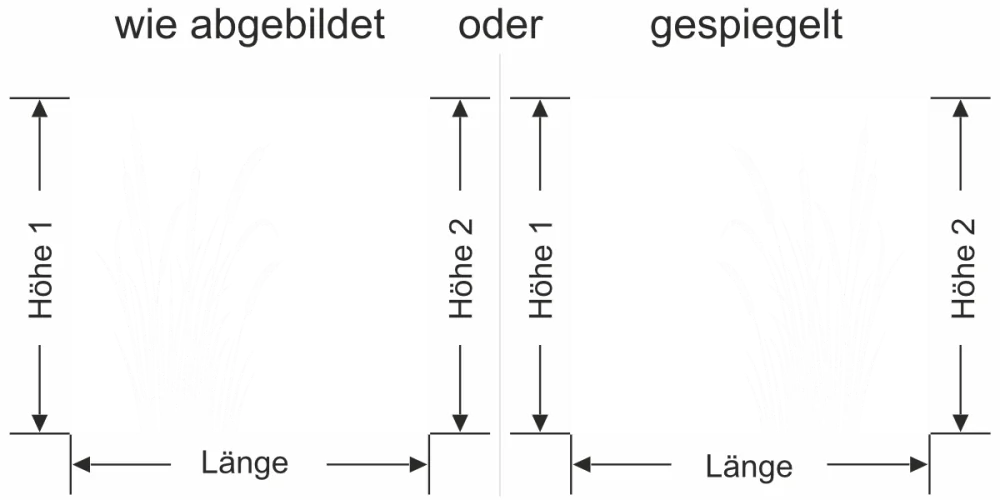Milchglasfolie Schilfgras mit Kolben - Ansicht Ausrichtung mit Farbauswahl und Anleitung zur Größenberechnung - Vorschlag 2
