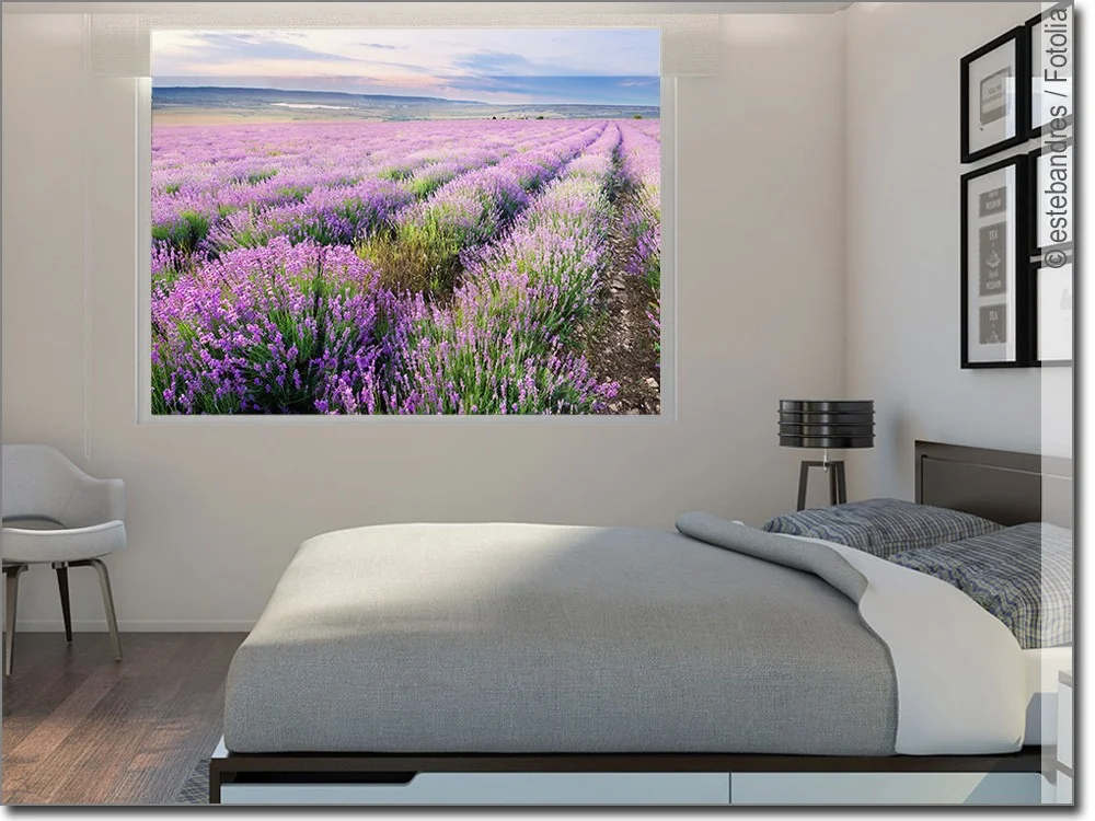 blickdichte Fensterfolie Lavendelfeld in der Provence