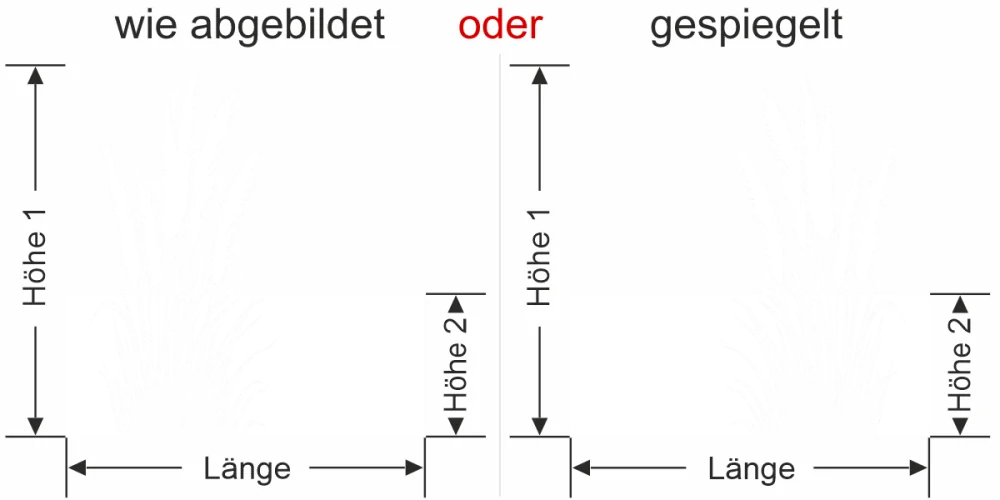 Sichtschutzfolie Pampasgras mit Wedel - Ansicht Ausrichtung mit Farbauswahl und Anleitung zur Größenberechnung - Vorschlag 1