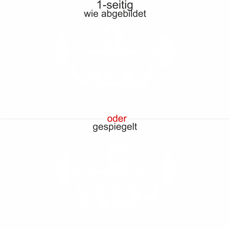 Hecktattoo Bodybuilder