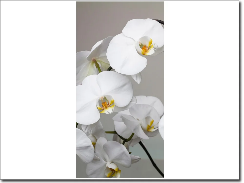 Türtattoo weiße Orchideen