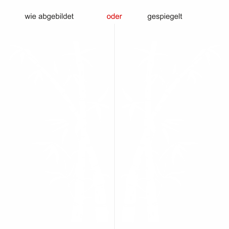 Wandtattoo mit Bambus Pflanze - Ansicht Ausrichtung und Farbauswahl