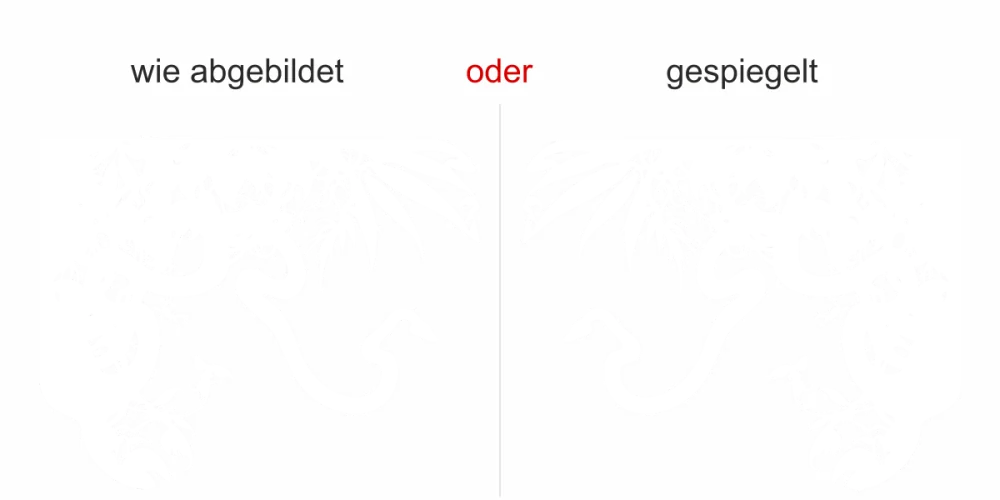 Wandtattoo mit Dschungel - Ansicht Ausrichtung und Farbauswahl