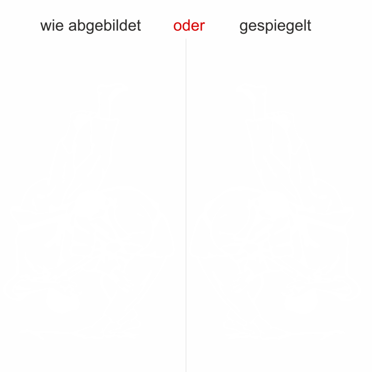 Wandaufkleber Judo Wurf