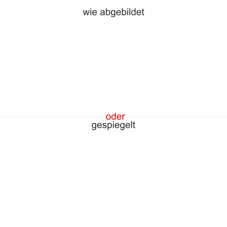 Wandaufkleber Zwei Delphine