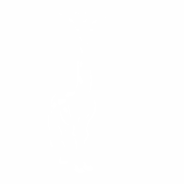 Wandsticker Giraffe - Messlatte
