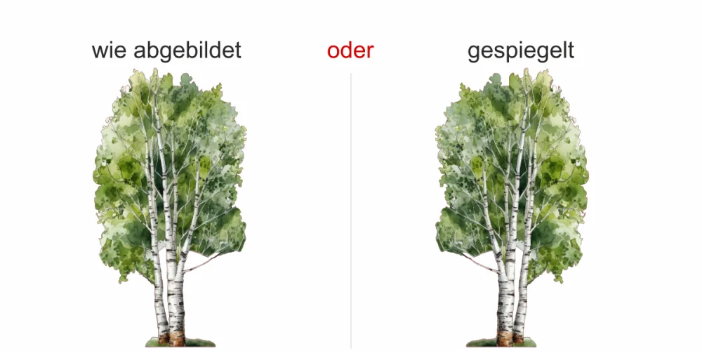 Wandtattoo Birke - Ansicht Ausrichtung