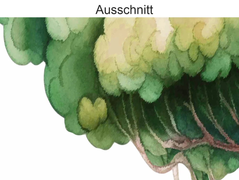 Wandtattoo Buche - Ausschnitt Wandtattoo Buche - Ausschnitt