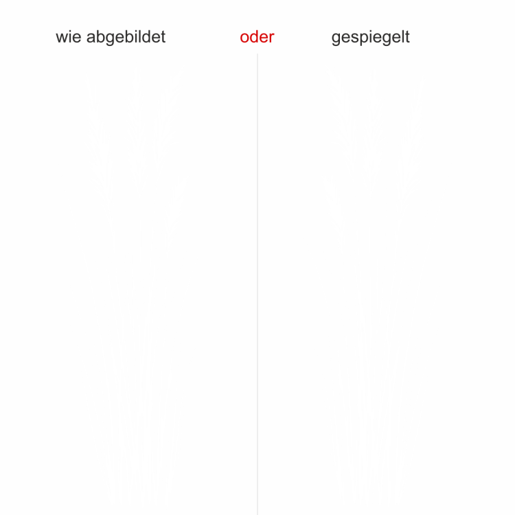 Wandtattoo Elegante Grashalme - Ansicht Ausrichtung mit Farbauswahl Wandtattoo Elegante Grashalme - Ansicht Ausrichtung mit Farbauswahl