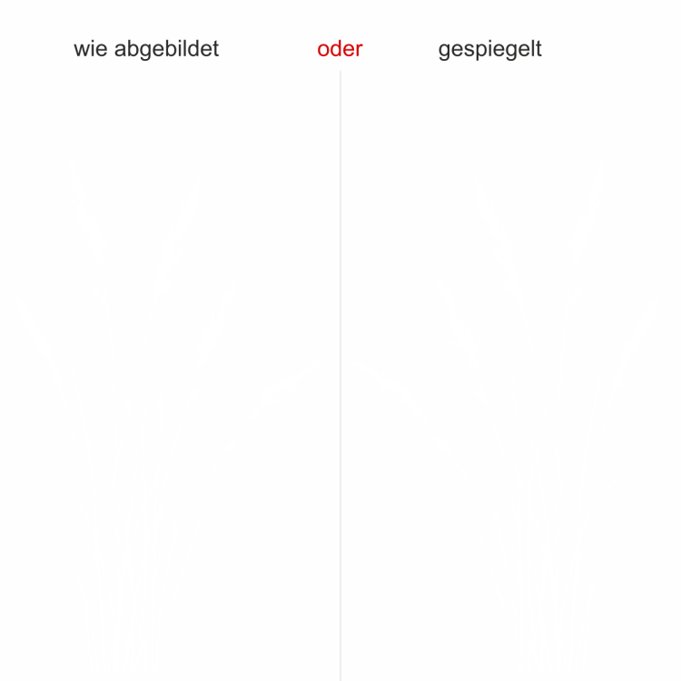 Filigranes Ziergras - Ansicht Ausrichtung mit Farbauswahl