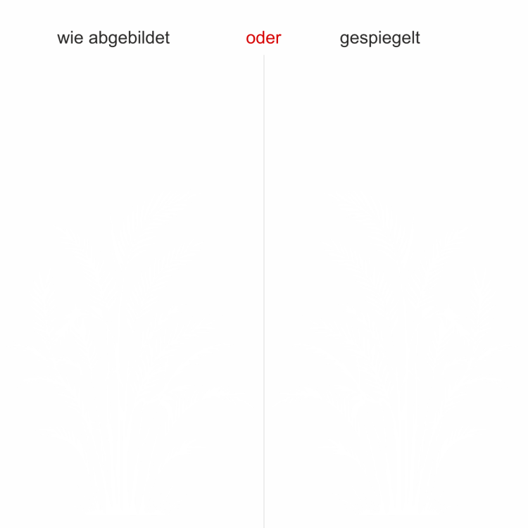 Wandtattoo Goldfruchtpalme - Ansicht Ausrichtung mit Farbauswahl Wandtattoo Goldfruchtpalme - Ansicht Ausrichtung mit Farbauswahl