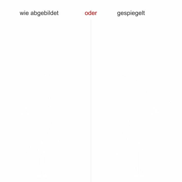 Wandtattoo Goldfruchtpalme - Ansicht Ausrichtung mit Farbauswahl