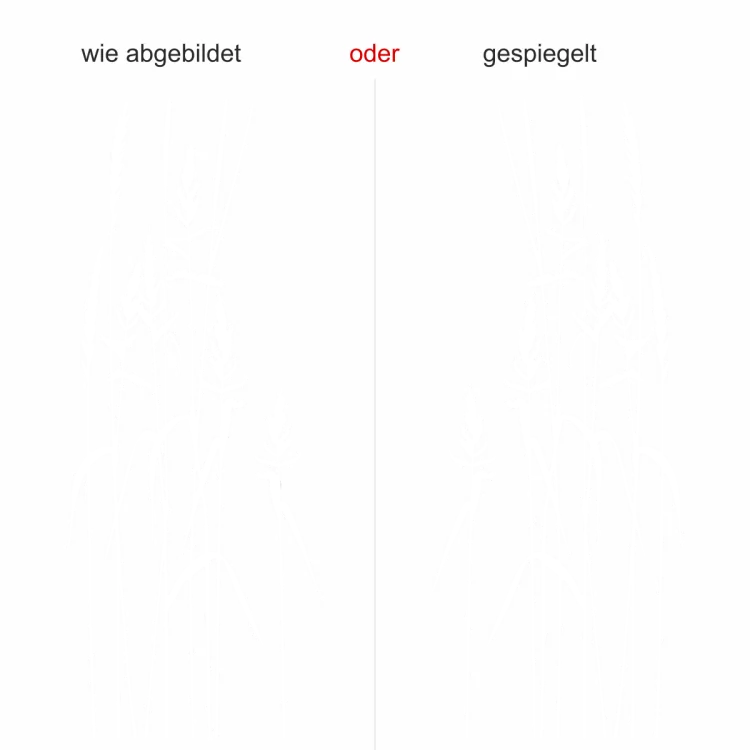 Aufkleber für Wände Gräser - Ansicht Ausrichtung und Farbauswahl