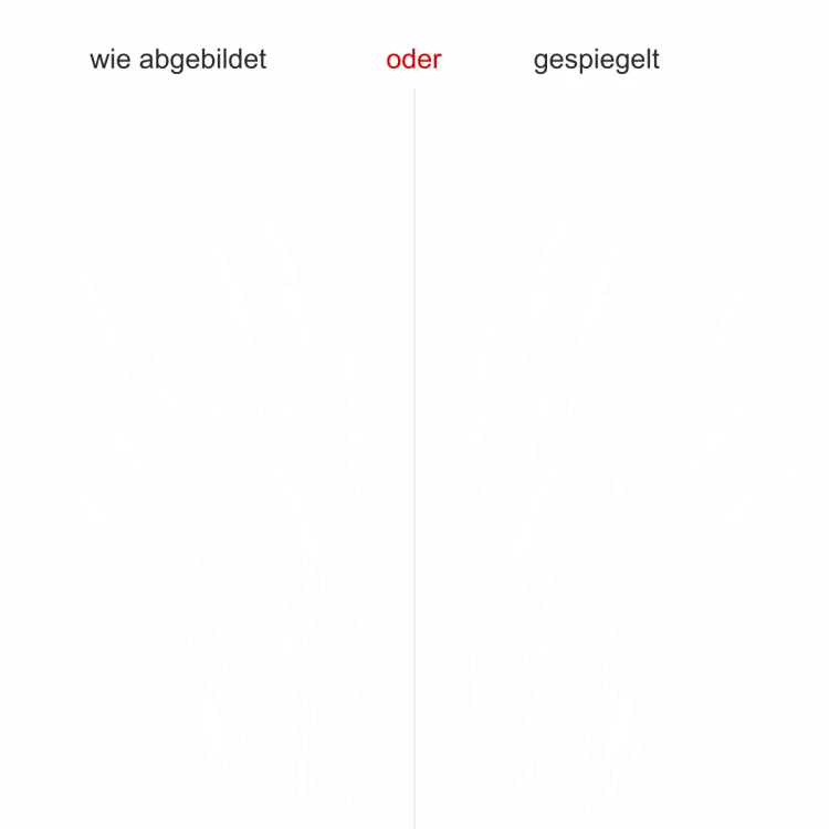Gräser im Wind - Ansicht Ausrichtung mit Farbauswahl