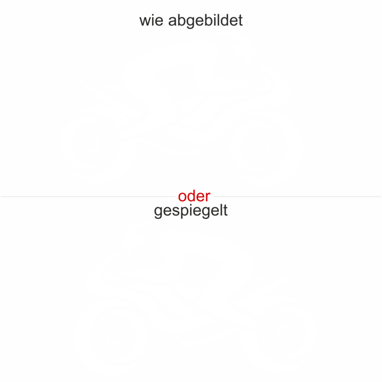 Wandtattoo Motorradfahrer
