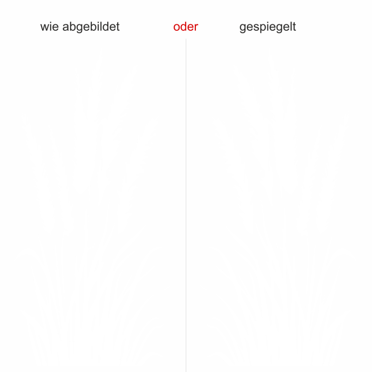 Wandtattoo Pampasgras mit Wedel - Ansicht Ausrichtung mit Farbauswahl