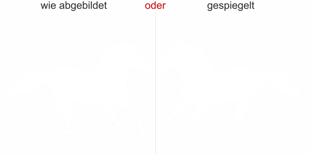 Wandtattoo mit Pferd - Ansicht Ausrichtung mit Farbauswahl