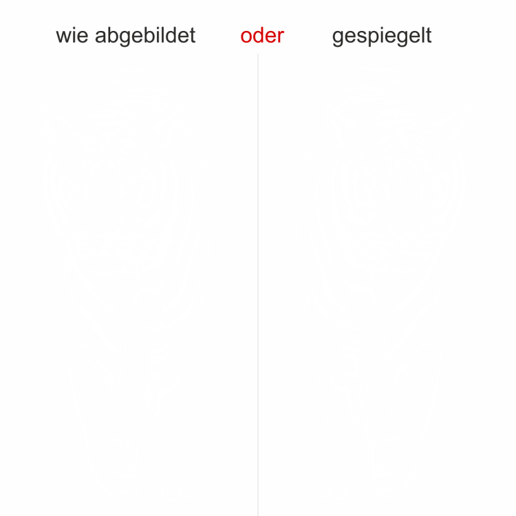 Wandtattoo Raubkatze