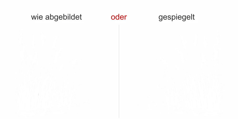 Wandtattoo Schilfgras am Seeufer - Ansicht Ausrichtung mit Farbauswahl