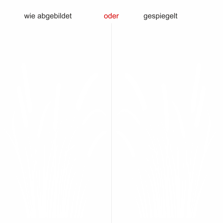 Wandtattoo Schilfgras mit Kolben - Ansicht Ausrichtung mit Farbauswahl