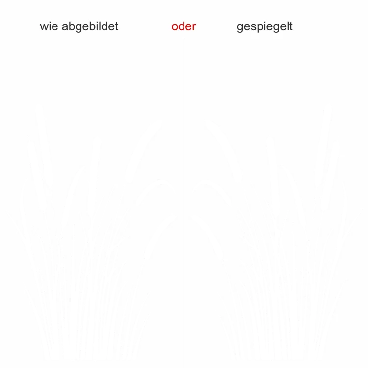 Wandtattoo Schilfgras mit Kolben - Ansicht Ausrichtung mit Farbauswahl