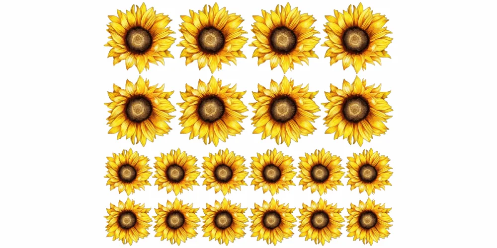 Wandtattoo Sonnenblumen Set zur freien Anordnung