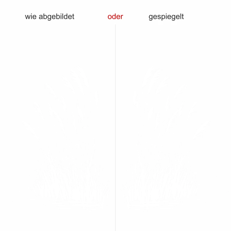 Wandtattoo Ufergräse - Ansicht Ausrichtung mit Farbauswahl