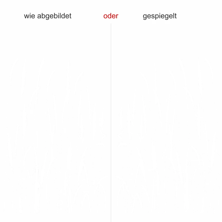 Wandtattoo Wiesengräser - Ansicht Ausrichtung mit Farbauswahl