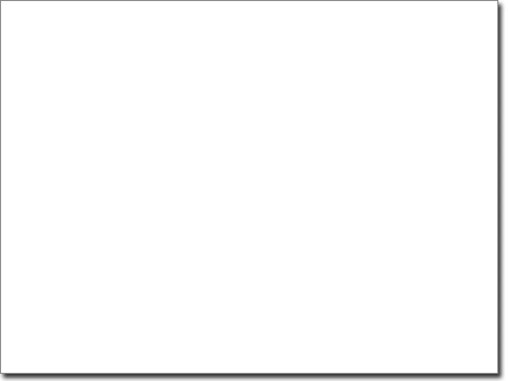 Wandtattoo Wild and Free