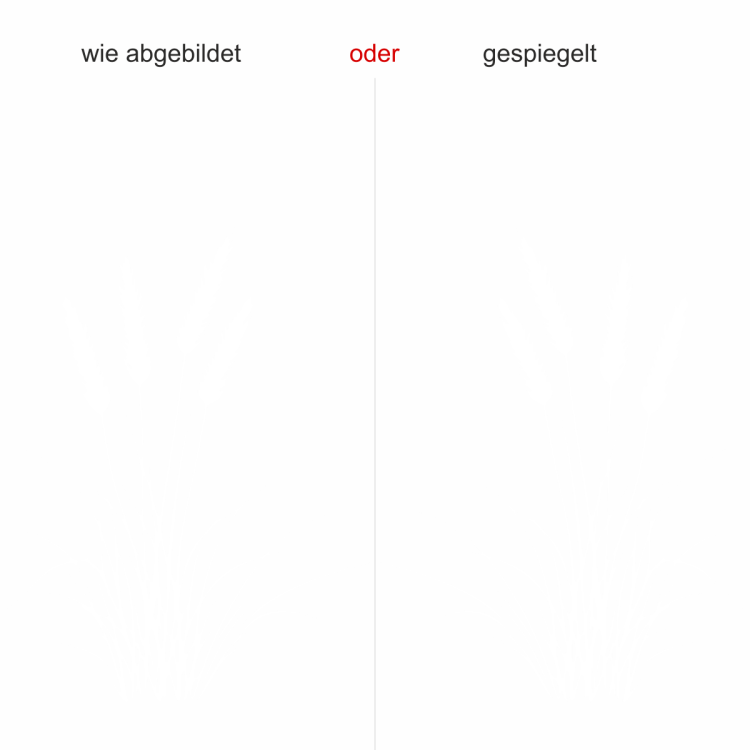 Wandtattoo Ziergras - Ansicht Ausrichtung mit Farbauswahl