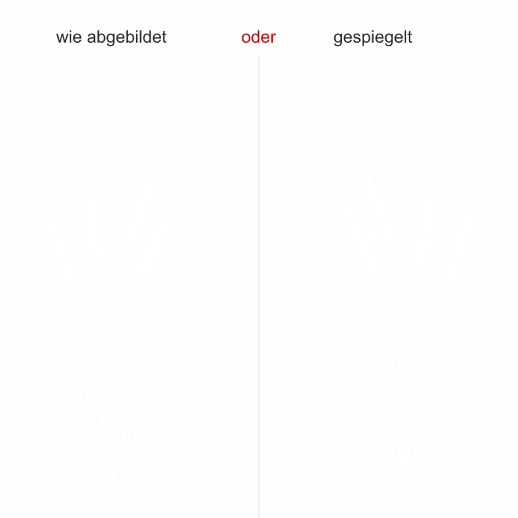 Wandtattoo Ziergras - Ansicht Ausrichtung mit Farbauswahl