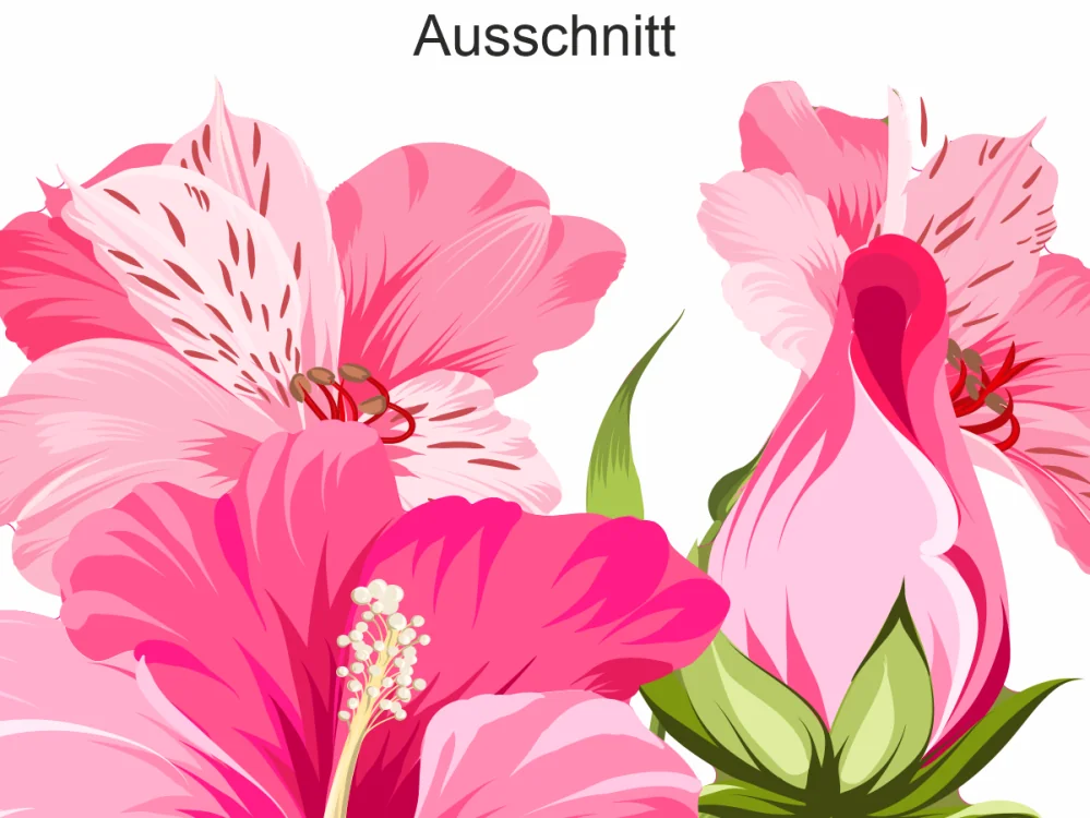 Hibiskus Blütenset - Ansicht Ausschnitt Hibiskus Blütenset - Ansicht Ausschnitt