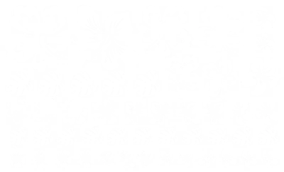 Wandtattoo Set Hibiskustraum - Ansicht Größen und Farbauswahl