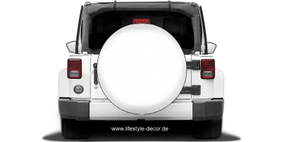 Autoaufkleber Wikingerkompass
