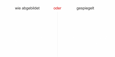 Glastattoo Möwen