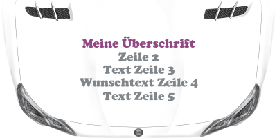 Fahrzeugbeschriftung Textblock | 21 auf Motorhaube