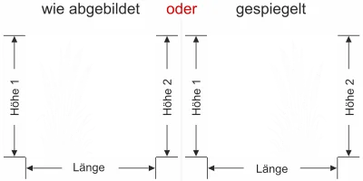 Sichtschutzfolie Pampasgras mit Wedel