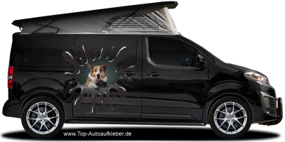 Autoaufkleber Eigenes Foto Klecks auf dunkler Motorhaube