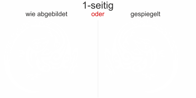 Aufkleber Eidechse Rondo