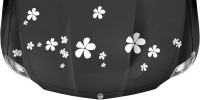 Autoaufkleber Blumen auf dunkler Motorhaube