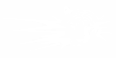 Autodekor Tiger Blitz