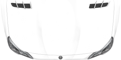 Autotattoo Blumenaufkleber auf heller Motorhaube - Ansicht Farbauswahl