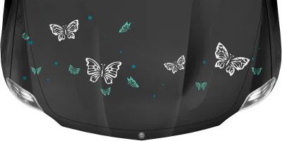 Autotattoo Lustige Falter auf Motorhaube