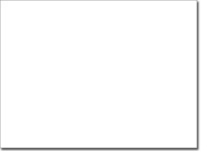 Wandsticker Savannenbaum