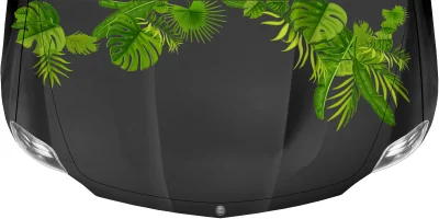 Aufkleber Dschungel Pflanzen Dekor Set auf dunkler Motorhaube