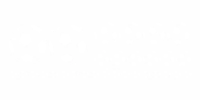 Auto Aufkleber Fußball Set - Frei platzierbare Elemente und Farbauswahl