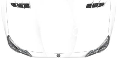 Autotattoo Exotische Echse