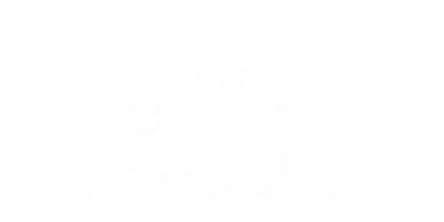 Autoaufkleber Europakarte