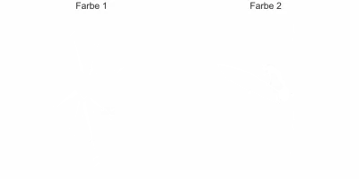 Autoaufkleber Kompass mit Windsurfer - Ansicht Farbauswahl